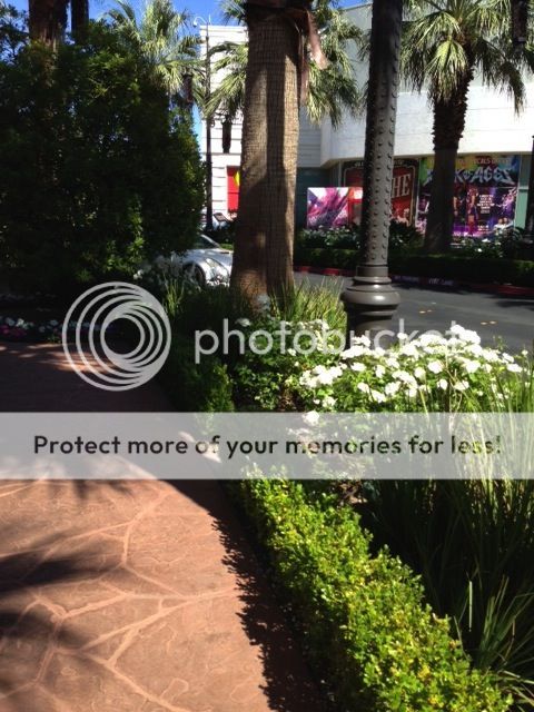 photo Image3_zps34ef3884.jpg